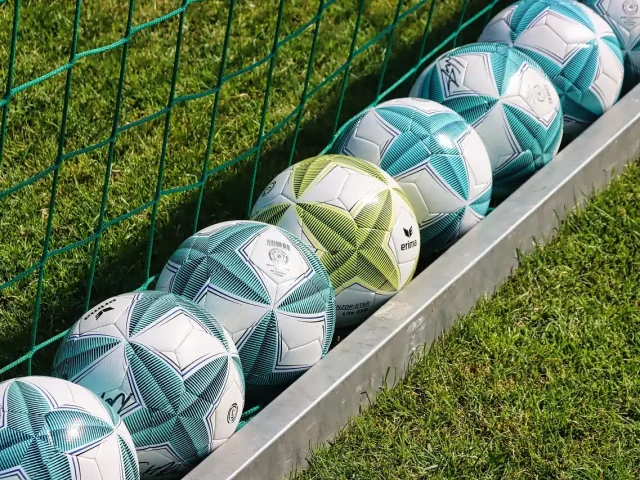FC Ergolding (Frauenfußball)