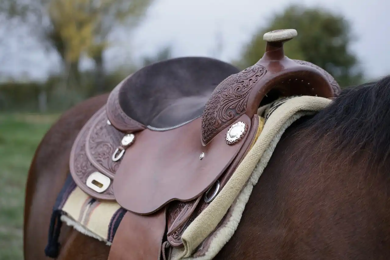 Reiten Pferd Sattel Reitschule